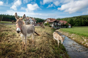 EkoTurizem Hudičevec Postojna
